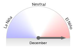 The average NINO3.4 value taken from 7 international models at a one month outlook