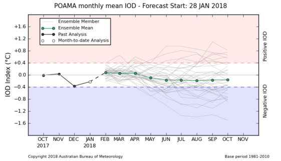 BOM IOD Forecast.