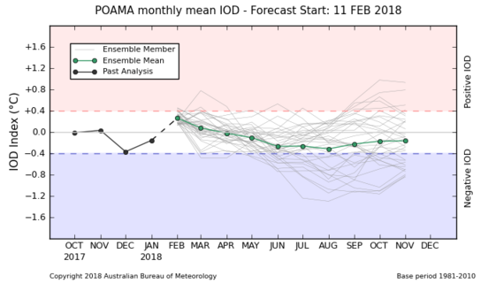 BOM IOD Forecast.