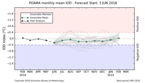 IOD SST plume graphs from POAMA forecasts, updated daily