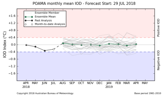 IOD SST plume graphs from POAMA forecasts, 