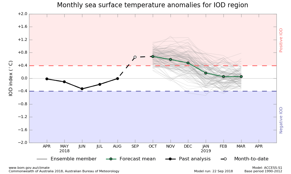 IOD SST plume graphs from ACCESS-S forecasts, updated daily