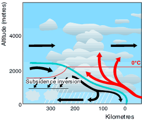 Cross-section of a cold front