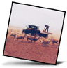 farm drought