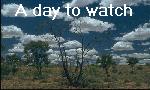 a day to watch