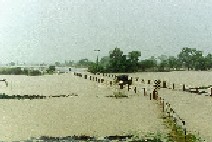 River flood February 2000