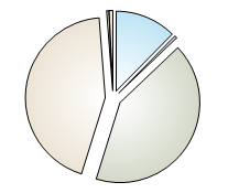 Graph of the percentage of the total surface water allocation for each licence category