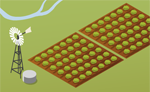 Irrigation scheme