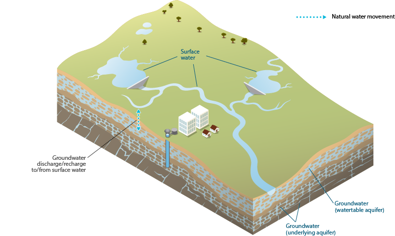Figure 2 Between-store flows that occur within the Daly region