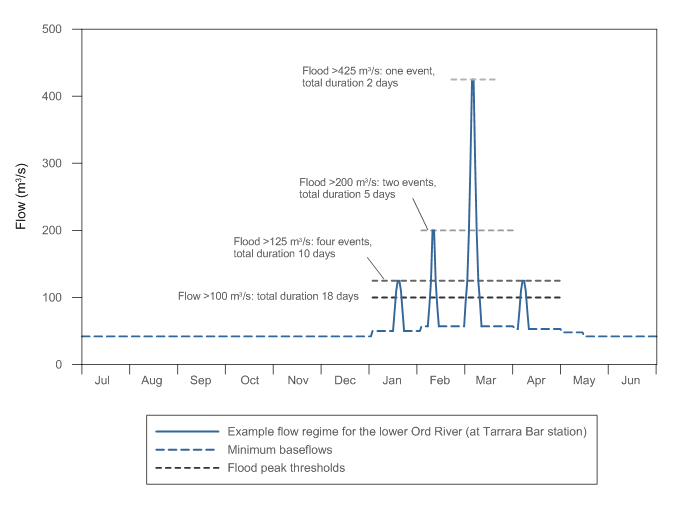 Figure 3 Example water provisions for the lower Ord River; required baseflows and wet season flood events are also shown