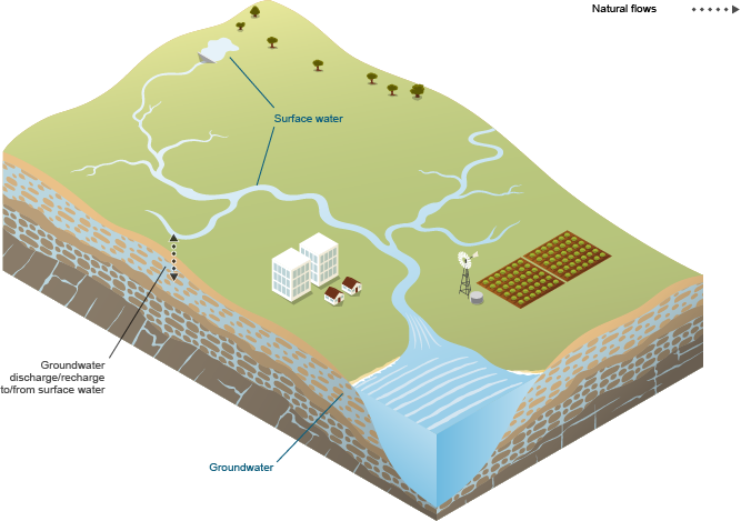 Figure N2  Schematic diagram of between-store flows that occur within the Daly region