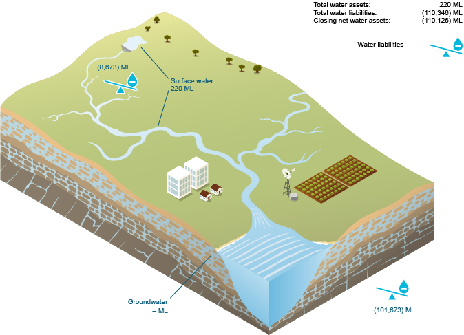 Figure W1  Schematic diagram of water assets and water liabilities for the region at 30 June 2015