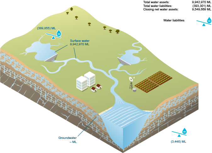 Figure W1  Schematic diagram of water assets and water liabilities for the region at 30 June 2015