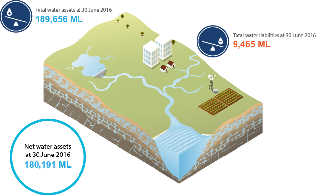 Image depicting the Adelaide region, detailing the total water assets of 189,656 ML, total water liabilities of 9,465 ML and net water assets of 180,191 ML  at 30 June 2016 