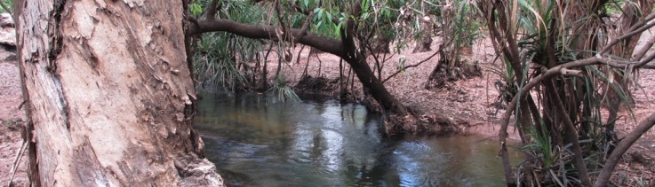 Douglas River, Daly region. Source: Bureau of Meteorology © Dene Moliere