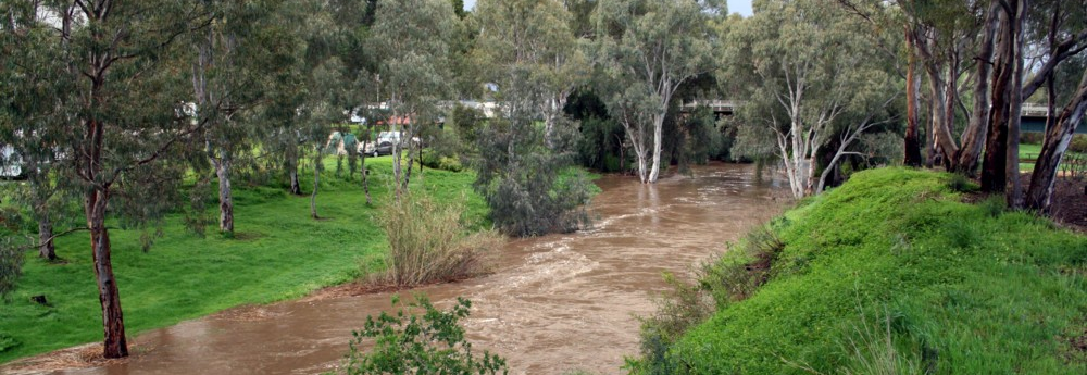 Gawler Caravan Park (© Bureau of Meteorology SA Office)