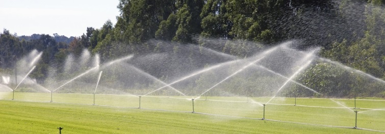 Irrigation (iStock © Phillip Minnis)