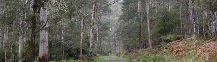 Melbourne water catchment © Paul Feikema