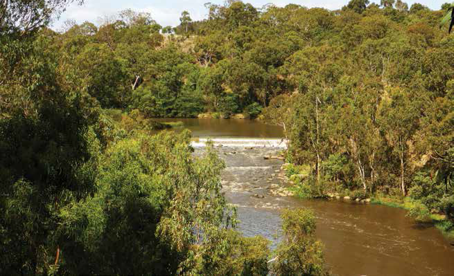 Yarra river at Dights Falls, Abbostsford, © Melbourne_Water