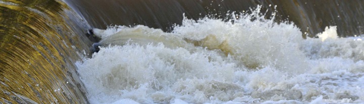 Yarra River at Dights Fall © Alison Pouliot