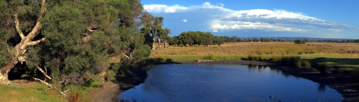 Whiteman Park, Perth region. Source: Department of Water © Lindsay Preece