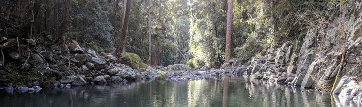 Gwongorool Pool, Lamington National Park (© Greg Keir)