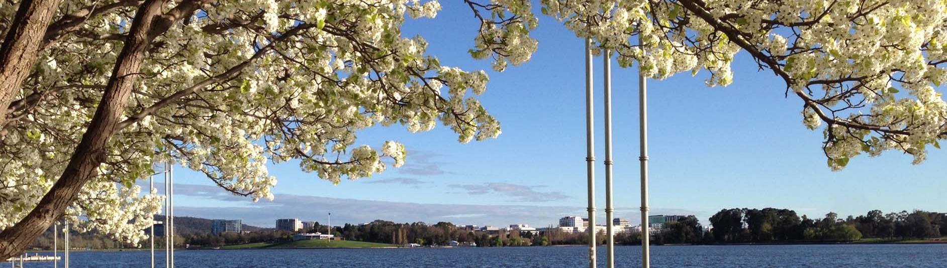 Lake Burley Griffin, Canberra region (Bureau of Meteorology © Perry Wiles)