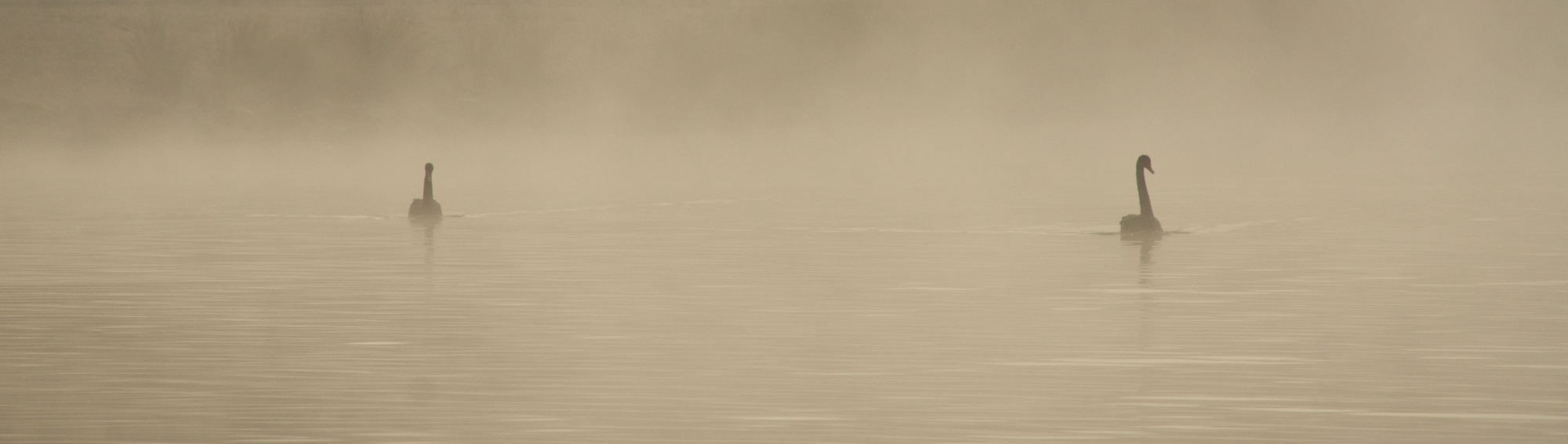 Lake Burley Griffin, Canberra region (Bureau of Meteorology © Malcolm Watson)