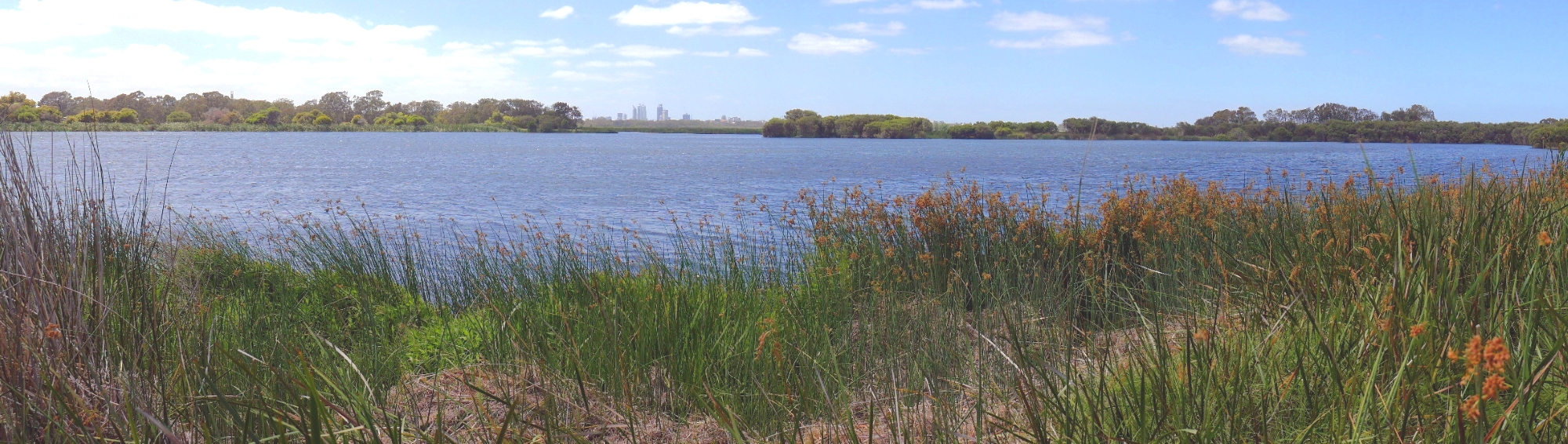 Herdsman Lake, Perth region (Department of Water and Environmental Regulation © Lindsay Preece)