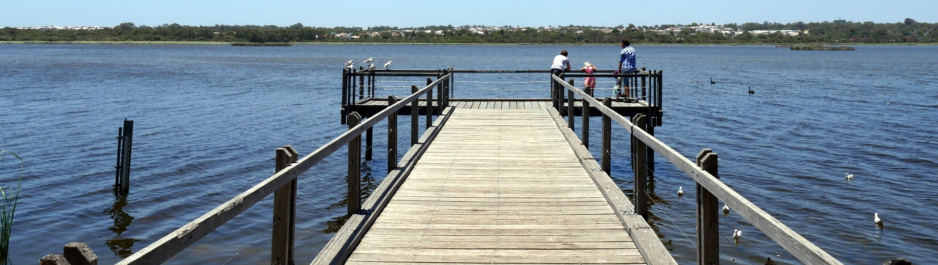 Joondalup Lake, Perth region (Department of Water and Environmental Regulation © Lindsay Preece)
