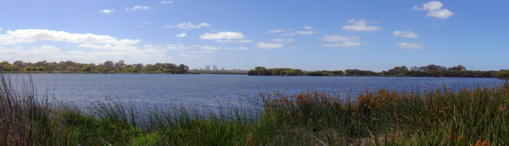 Herdsman Lake, Perth region (Department of Water and Environmental Regulation © Lindsay Preece)