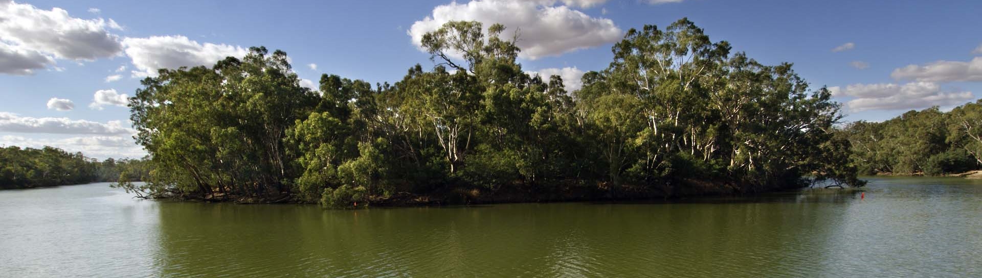 Murray River (Alison Pouliot © 2009)