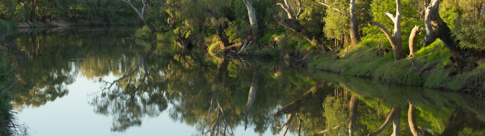 Castlereagh River, Murray–Darling Basin region (Bureau of Meteorology © Malcolm Watson)