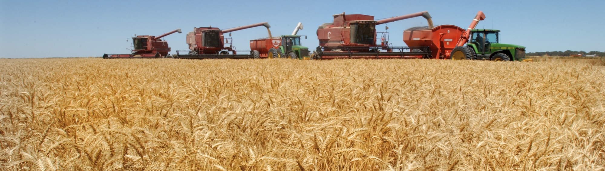 Wheat harvesting, Murray–Darling Basin region (MDBA © Arthur Mostead)
