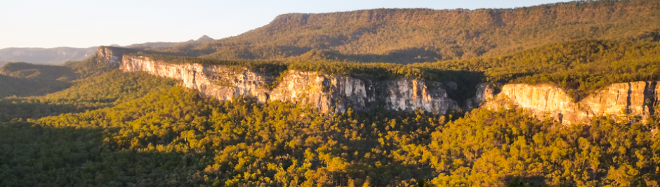 Boolimba Bluff, Carnarvon Gorge, Fitzroy region (ABC Capricornia © Erin Semmler) Boolimba Bluff, Carnarvon Gorge, Fitzroy region (ABC Capricornia © Erin Semmler)