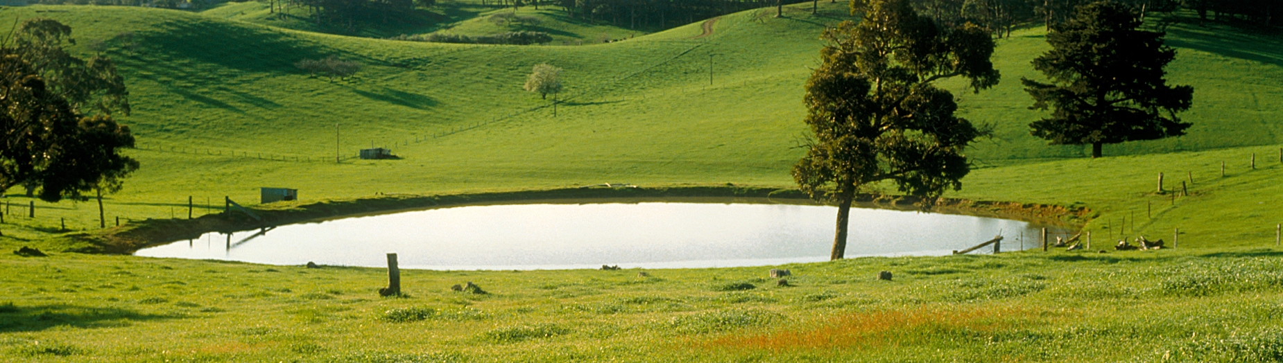 Farm dam, Adelaide region (CSIRO © Willem van Aken)