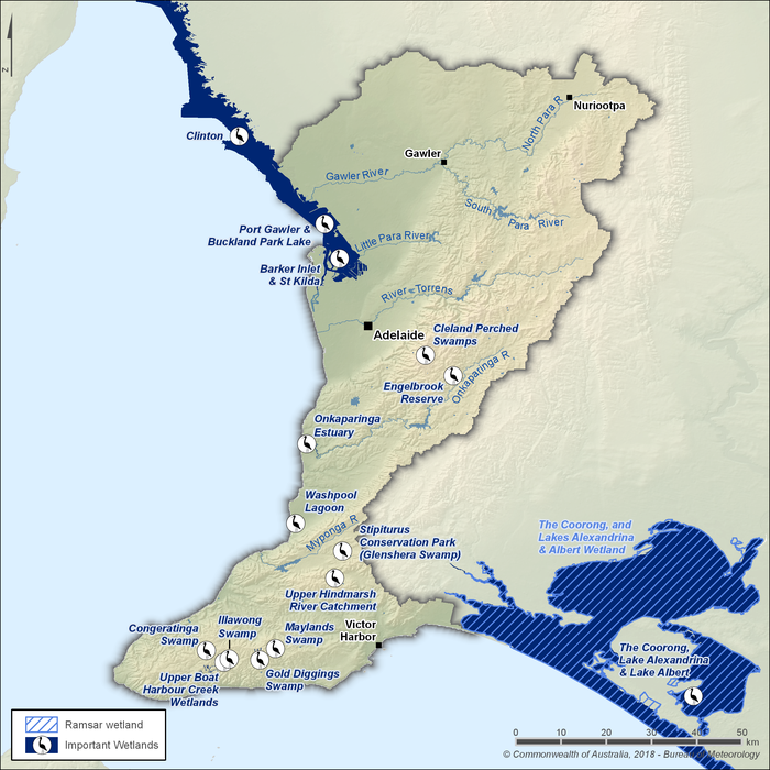 Map of Ramsar wetlands and nationally important wetlands. The 3 Ramsar-listed wetlands are the Coorong, Lakes Alexandria and Albert Wetland, which are located outside the region to the southeast. There are 14 nationally-important wetlands. Washpool Lagoon, Stipiturus Conservation Park, Upper Hindmarsh River Catchment, Upper Boat Harbour Creek Wetlands, Illawong Swamp, Congeratinga Swamp, Gold Diggings Swamp, and Maylands Swamp are located in the south and southwest of the region near the Flerieu Peninsula. Cleland Perched Swamps, Englebrook Reserve and Onkaparinga Estuary are located in the centre of the region to the south of Adelaide. The Port Gawler and Buckland Park Lake and the Barker Inlet and St. Kilda are along the northwest coastal edge of the region. The Clinton wetland is also along the northern coastline but outside the region boundary.