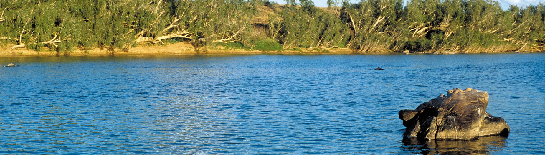 Burdekin River near Charters Towers (CSIRO © Willem van Aken)
