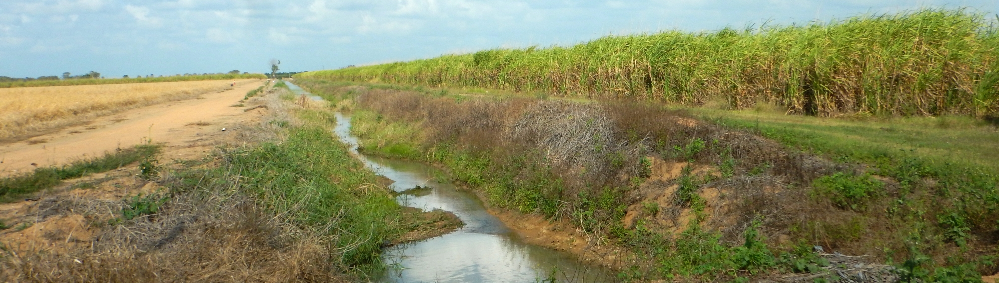 Irrigation drainage channel, Burdekin region (Bureau of Meteorology © Rikki Garstone)