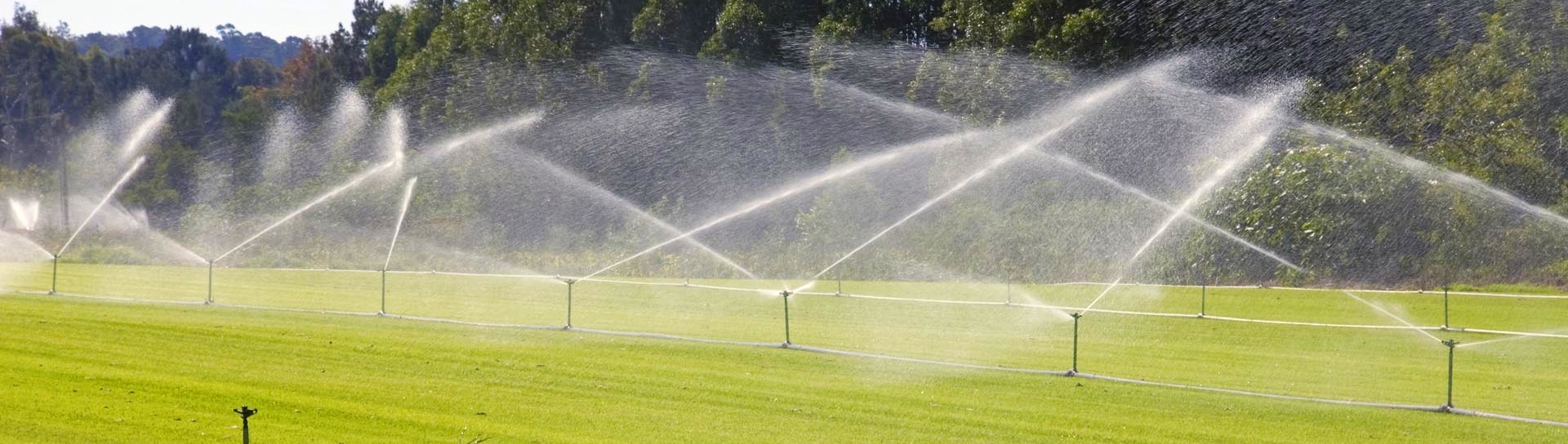 Irrigation system (istock © Phillip Minnis)