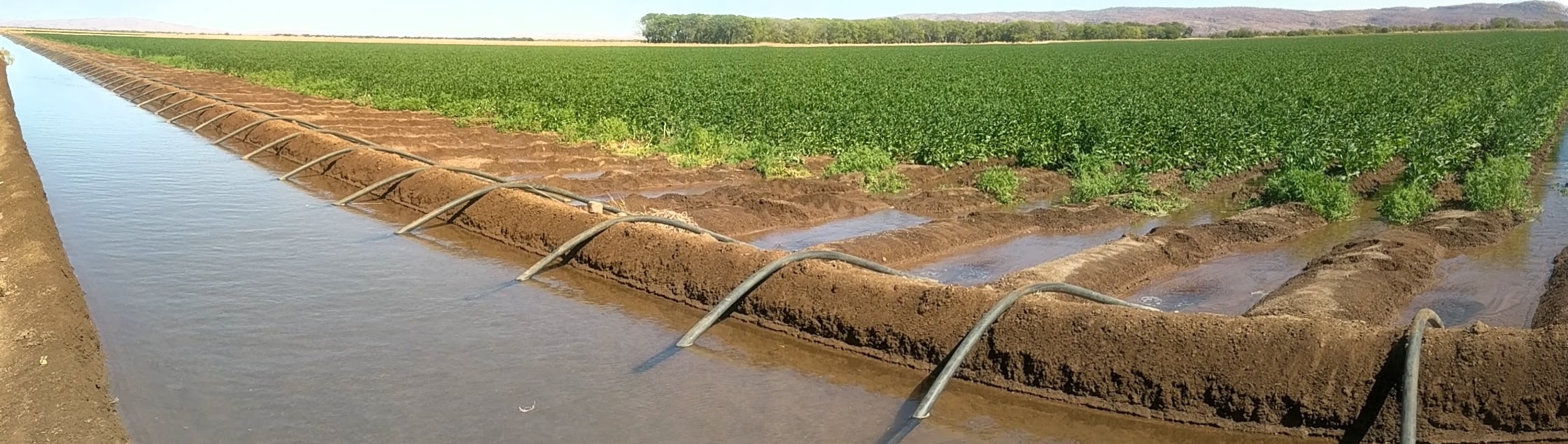 Irrigation channel, Ord region (Bureau of Meteorology © Dene Moliere)