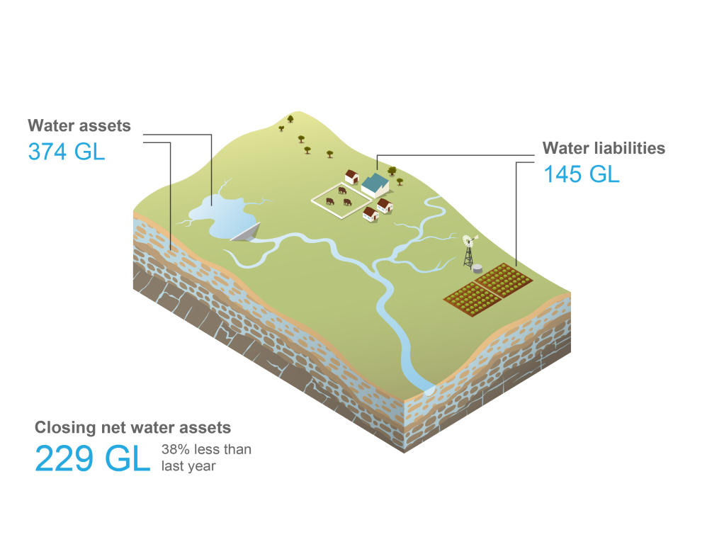 Schematic representation of the Border Rivers catchment. Total surface water and groundwater assets at 30 June 2021 was 513 GL. Total water liabilities was 142 GL. Closing net water assets at 30 June 2021 was 371 GL, 138% more than last year.