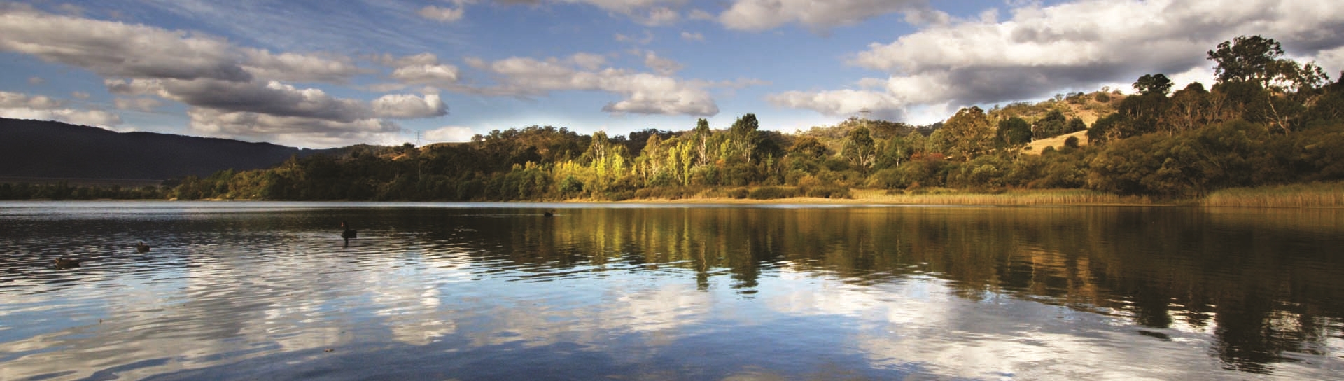 Lake Eildon, Murray–Darling Basin region (Alison Pouliot © 2009)