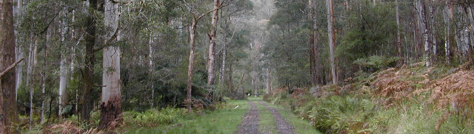 Upper catchment area, Melbourne region (Bureau of Meteorology © Paul Feikema)