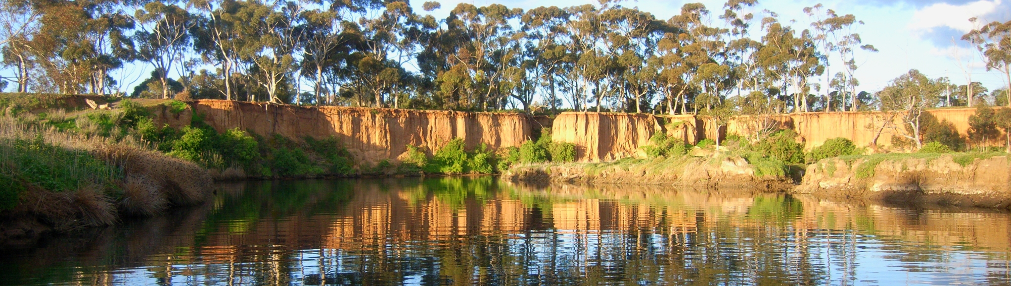 Werribee river shoreline (Bureau of Meteorology © Brett Anderson)