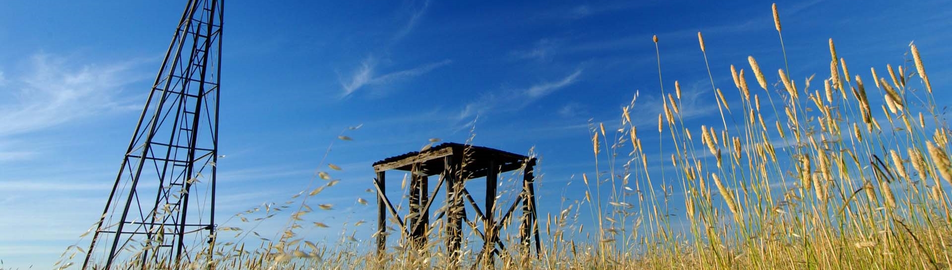 Groundwater for farming, Melbourne region (Alison Pouliot © 2005)