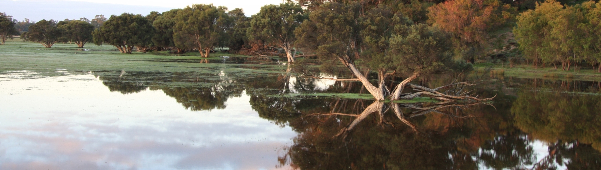 Perth desalination plant, Perth region (Water Corporation © 2009)