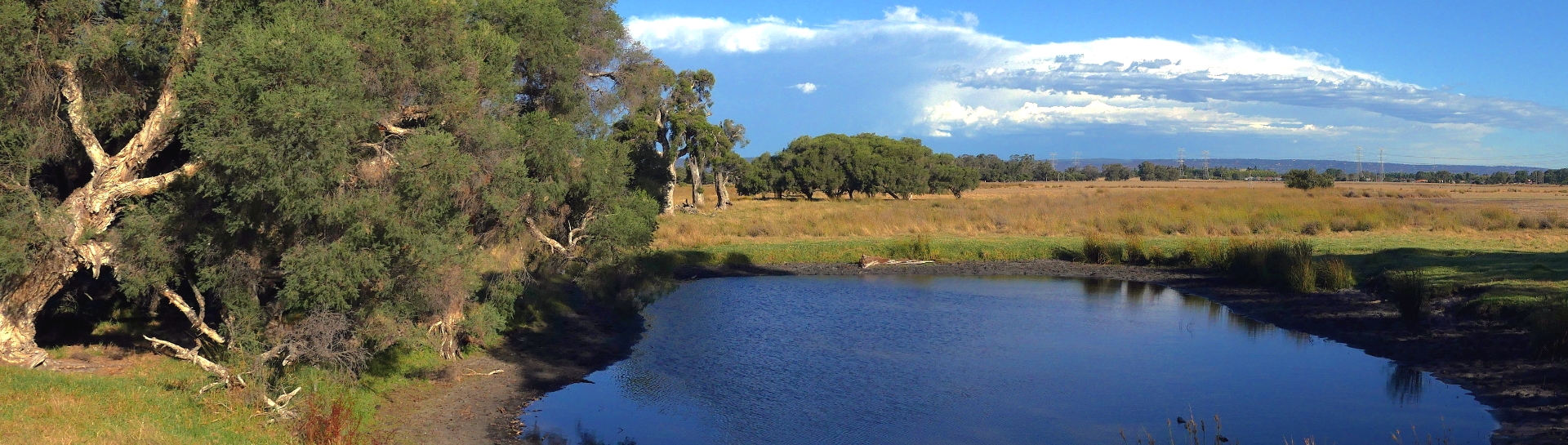 Whiteman Park, Perth region (Department of Water and Environmental Regulation © Lindsay Preece)