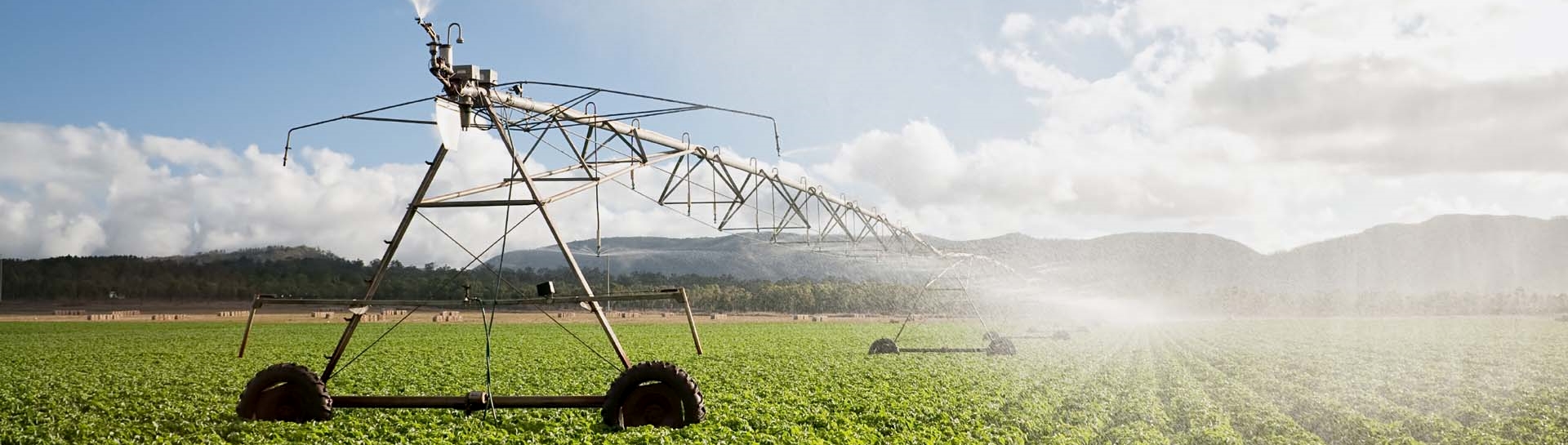 Farm irrigation, Queensland (istock © George Clerk)