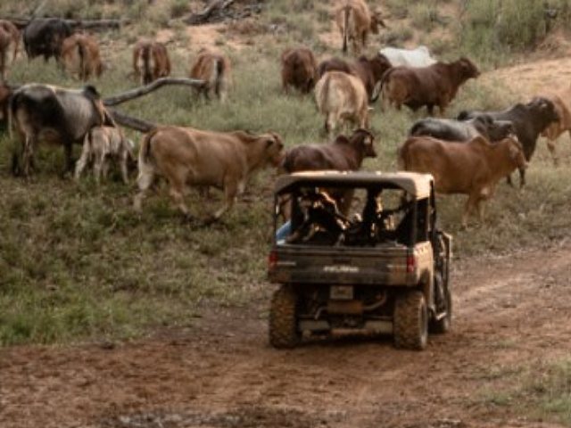 Providing Australian farmers with tailored insights into their changing climate